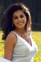 Tapsee Hot Pics